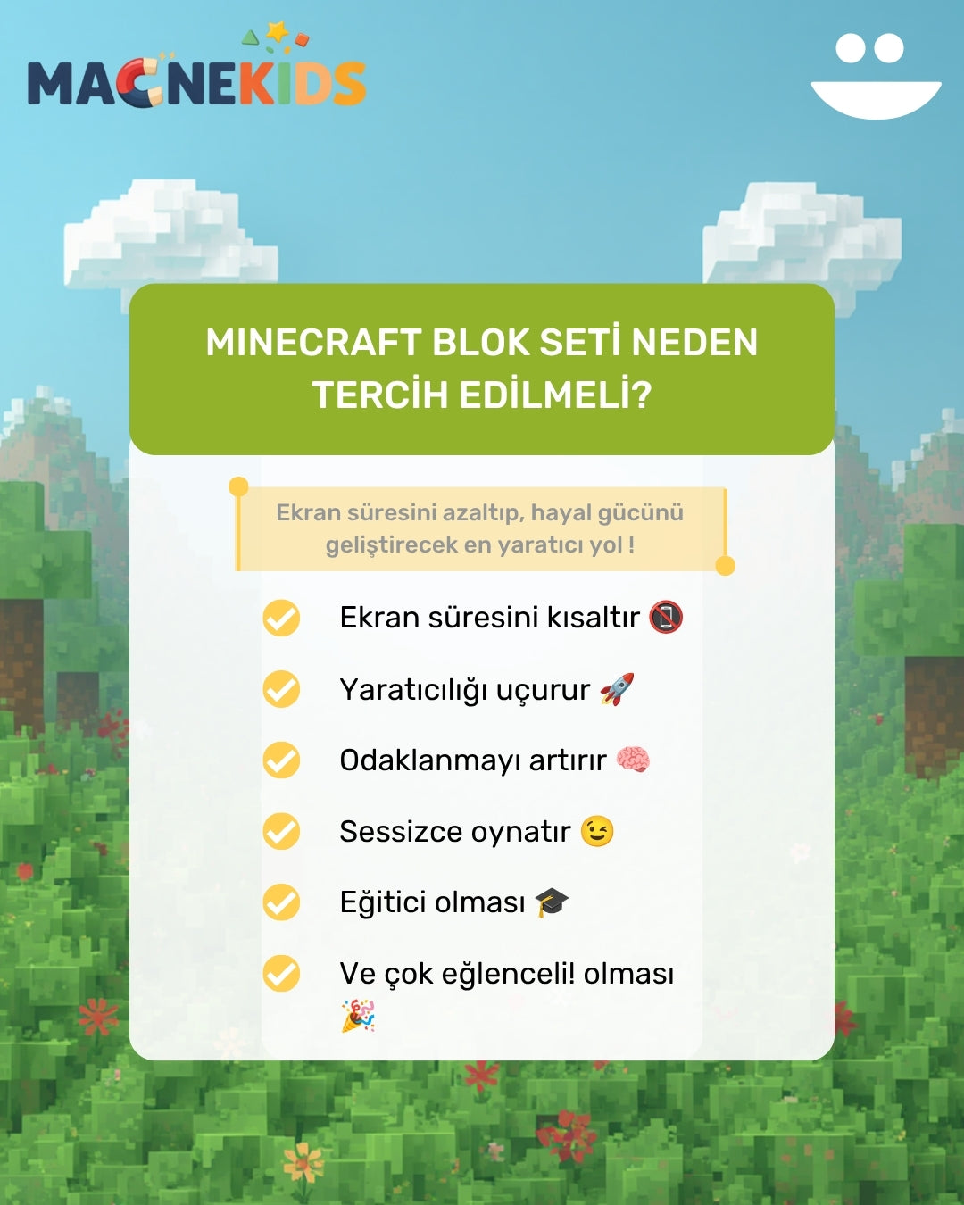 Minecraft Konseptli Manyetik Blok Seti